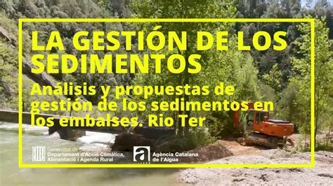 An Lisis Y Propuestas De Gesti N De Los Sedimentos En Los Embalses