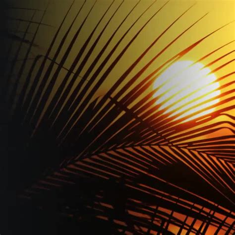 portland investment counsel   linkedin financefriday