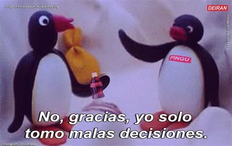 Pin De Zia Van Houten En Pingu Frases Memes Estúpidos Memes Memes Divertidos