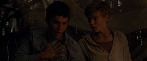 Thomas And Newt The Maze Runner Thomas Photo 39753935 Fanpop