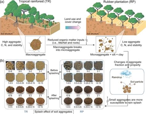 土地利用变化通过改变土壤团聚体的稳定性调控 生物通