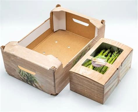 Single Phase Ply Fruit And Vegetable Packaging Boxes At Rs Piece