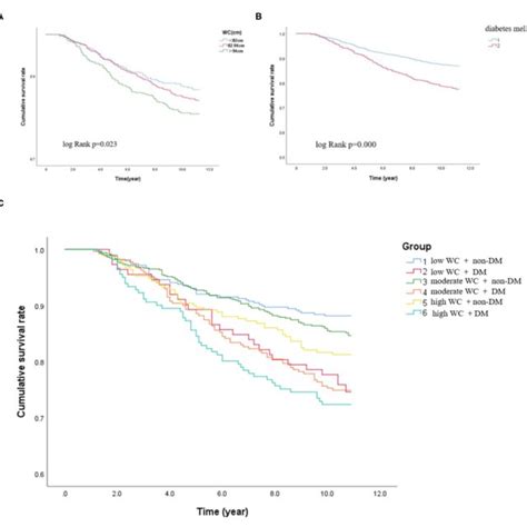 Kaplan Meier Curves In Different Subgroups A Kaplan Meier Survival Download Scientific