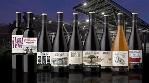 Morand Adventure Vinos Con Alma Innovadora Y Rupturista Morand