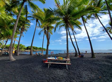 Punaluu Black Sand Beach Pahala Hawaii Beaches