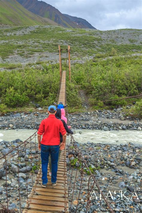 Gulkana Glacier Trail Alaska Alaska Guide