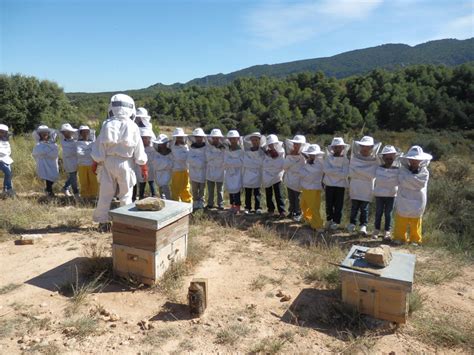 Colònies Cicle Inicial a la Pobla de Cérvoles Escola Maria Cortina de