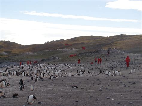 Impacts Of Tourism In Antarctica Resource Iucn