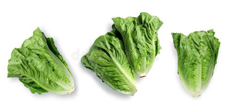 Fresh Green Romaine Lettuce Isolated On White Top View Stock Photo