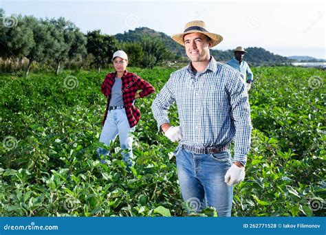 Retrato Do Homem Agricultor No Campo Vegetal Foto De Stock Imagem De