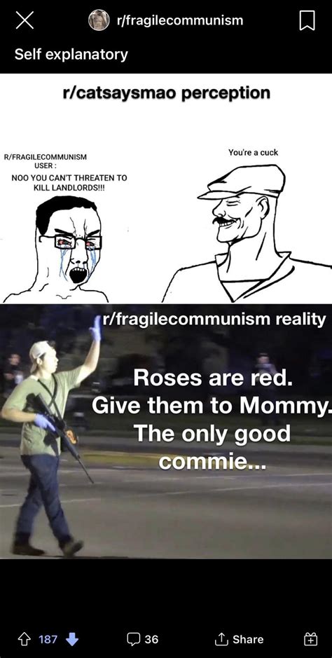 What The Fuck Is Wrong With R Fragilecommunism Where This Post Is From Like They Would Rather