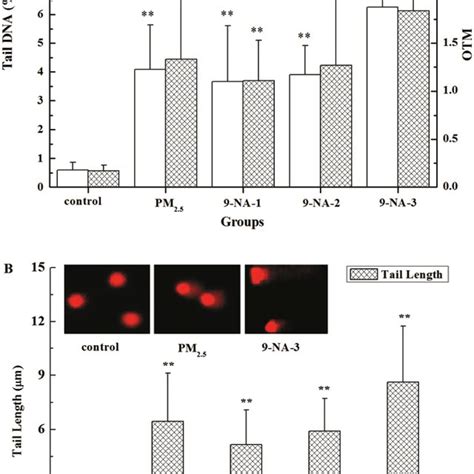 MRNA And Protein Levels Of CYP1A1 And 1A2 And Activities Of CYP450s And