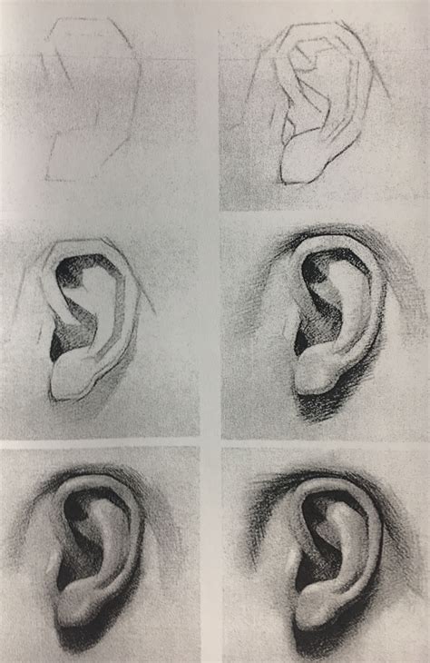 How To Draw An Ear Çizim Teknikleri Çizim Fikirleri Çizimler