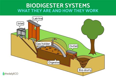 What Is A Biodigester And How Does It Work Biodigester