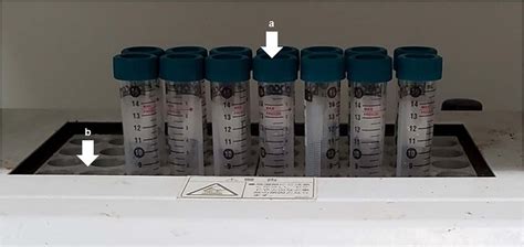 Wet Ashing Procedure Of Boron Containing Samples Using Dry Block Download Scientific Diagram