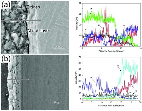 Cross Sectional Morphologies And Compositions Of The Specimens At