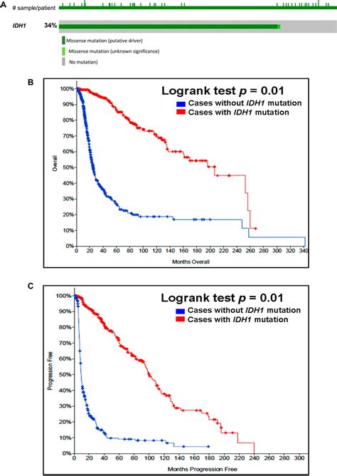 Frontiers Publishing Partnerships Isocitrate Dehydrogenase Idh And