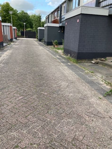 Ophogen En Vergroenen In Gouda Goverwelle De Tuin Van Nu