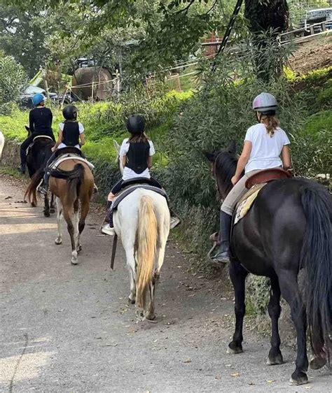 Passeggiate A Cavallo Vicino A Milano Le Migliori Holidoit