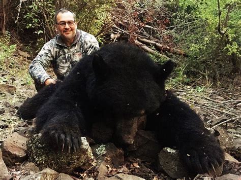 Whiskey Mountain Outfitters Idaho Bear Cougar And Elk Guided Hunts