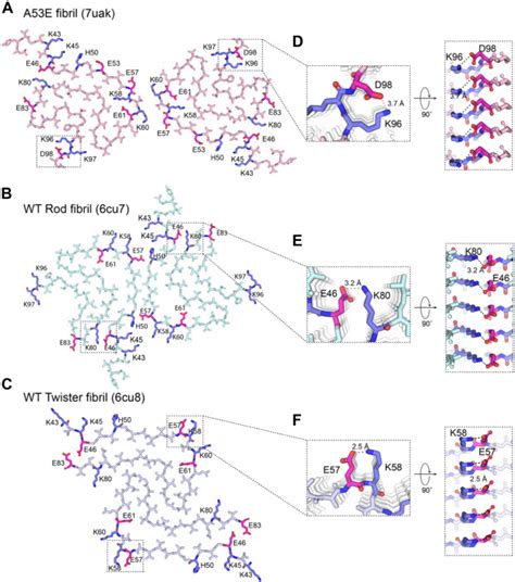 Cryo Em Structure Of Amyloid Fibril Formed By α Synuclein Hereditary