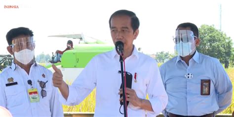 Jokowi Tekankan Pentingnya Hilirisasi Dan Industrialisasi Kelapa Sawit