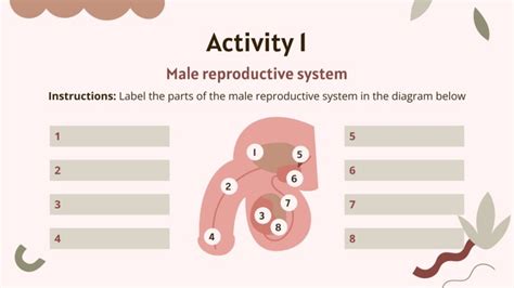Cours Sur Le Système Reproducteur à Lécole élémentaire