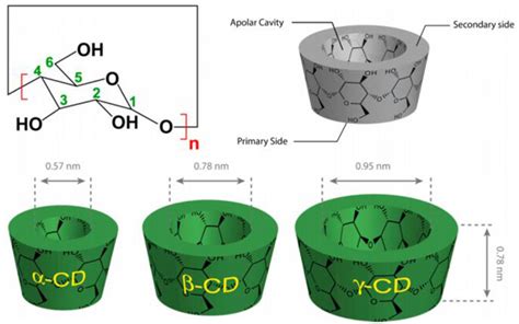 Controlled Drug Delivery Mediated By Cyclodextrin Based Supramolecular