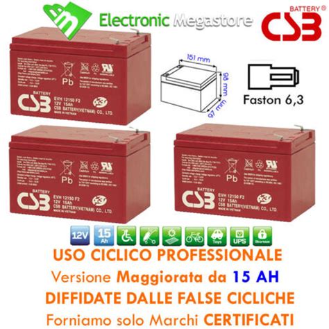 Batteria Al Piombo Ad Uso Ciclico V Ah Kit Da Per Bici Carrello