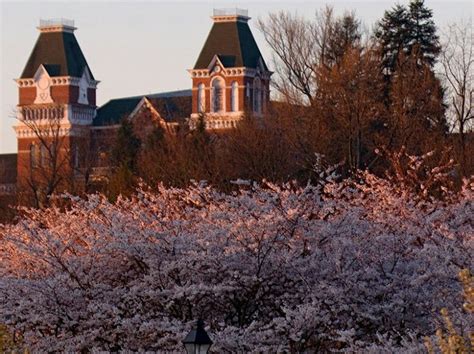 20 Breathtaking College Campuses Princeton Review Has Released Its