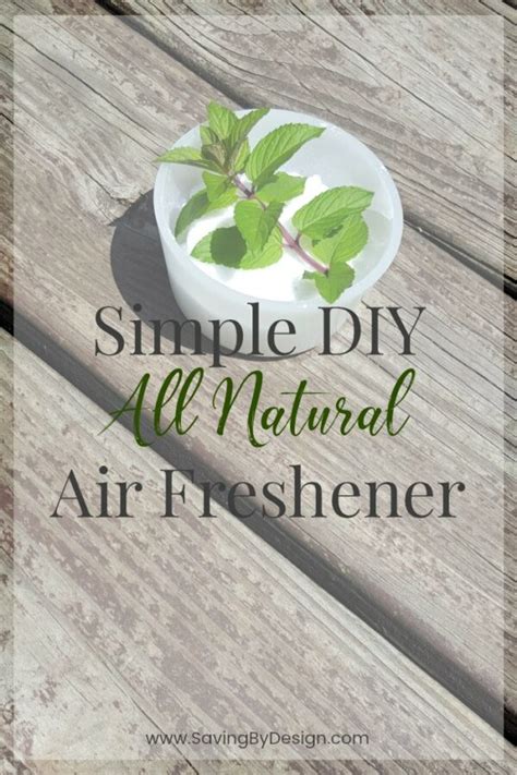 DIY Natural Air Freshener - Only 2 Ingredients Needed!