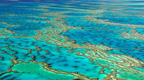 La Gran Barrera De Coral Australiana Sufre Su Peor Deterioro Hasta La