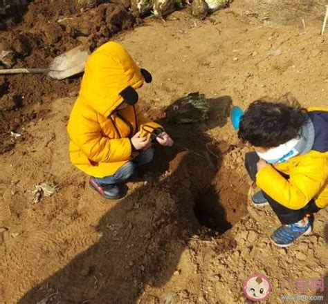 在小小的花园里面挖呀挖呀挖是什么歌 花园种花完整版歌词介绍 八宝网