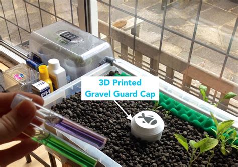 Art Aquaponics And 3d Printing Create Education Project