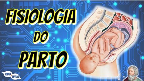 Desvendando A Fisiologia Do Parto Conhecimento Fundamental