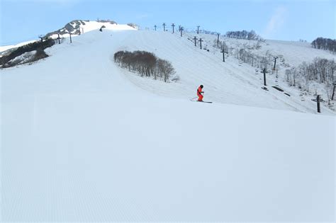 八方尾根 260cm 曇晴 ゲレンデレポートスノーナビ白馬八方栂池五竜等の観光案内はスノーナビ白馬で