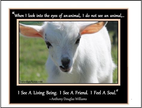 Goat Farming Quotes - Farm House