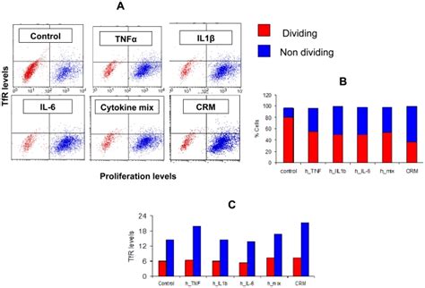 Flow Cytometry Analysis Of Caco Cells Double Stained For Cfse