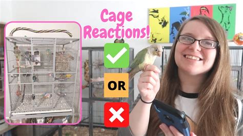 Reacting To My Subscribers Bird Cages 8 BirdNerdSophie YouTube