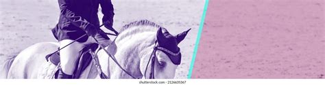 White Dressage Horse And Rider White Horse Portrait During Dressage ...