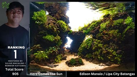 Chase Nano Tank Aquascaping Competition Year 2 NewBie Edition YouTube