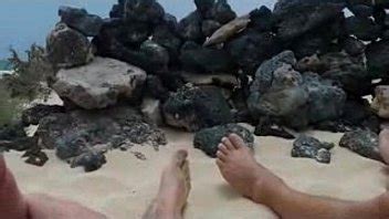 Videos de Sexo Videos porno gay cruising playa Películas Porno Cine Porno