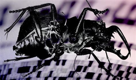 Швейцарские ученые записали целый музыкальный альбом в молекуле ДНК ...