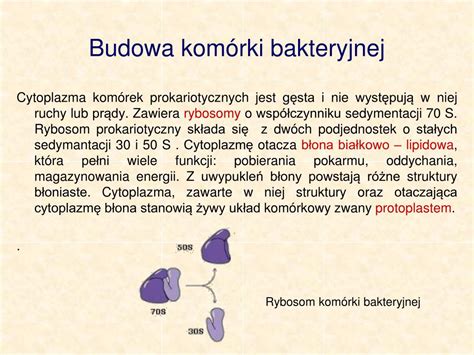 PPT Materiały pochodzą z Platformy Edukacyjnej Portalu