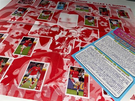 Panini Album EM 2008 komplett Rarität Kaufen auf Ricardo