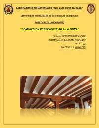 Compresion Perpendicular A La Fibra De Madera Docsity