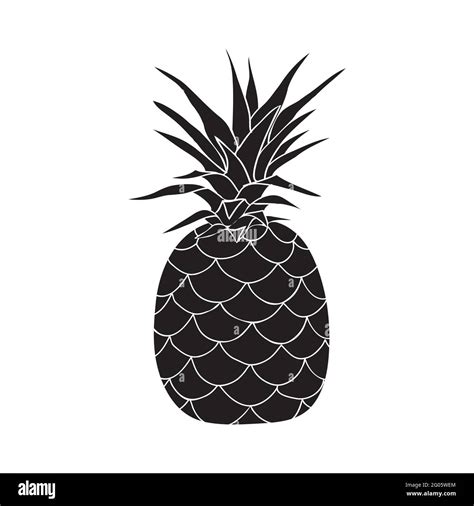 Pineapple Vector Illustration Of Pineapple Tropical Fruit Black And