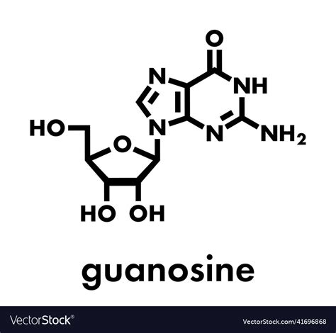 Guanosine purine nucleoside molecule important Vector Image