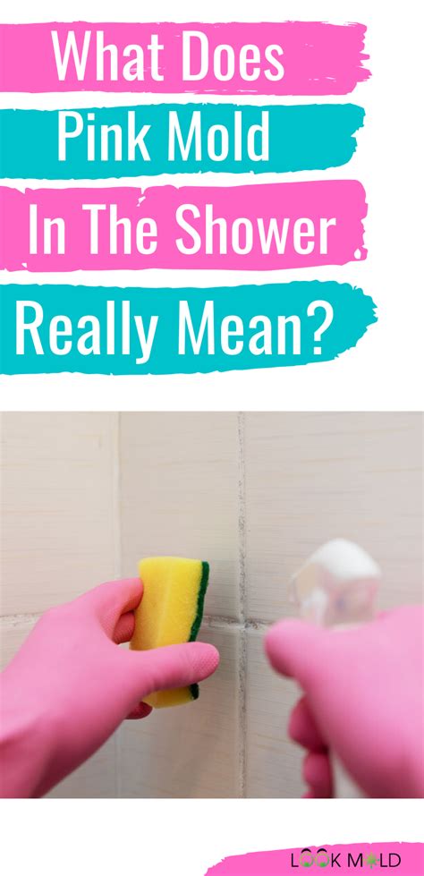 The Dangers Of Pink Shower Mold - Shower Ideas