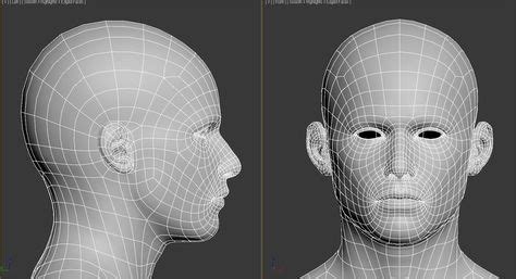 Need Head Critique Comparisons Face Topology Wireframe Face